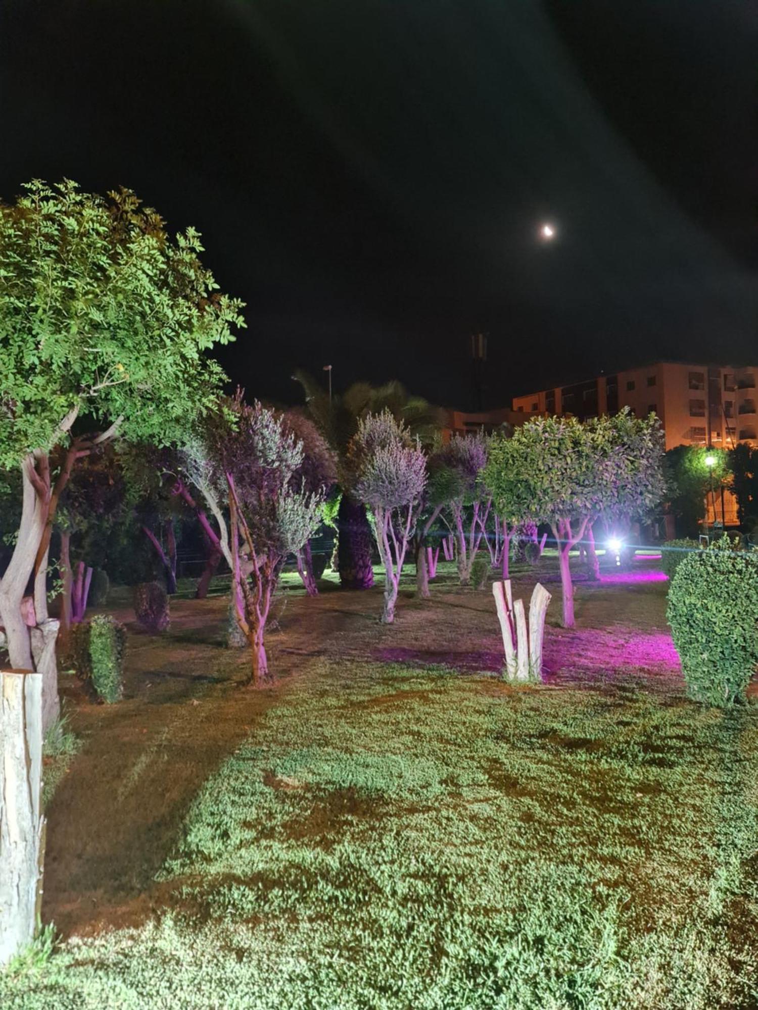 Fes Urban Apartment - Urban Elegance With Garden And Pool Access Luaran gambar